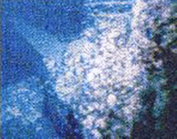 Thumb from japan01.gif